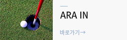 아라인
