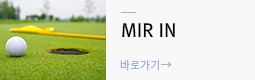 미르인